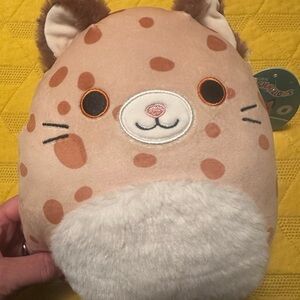 NWT bobcat Squishmallow named Raleigh